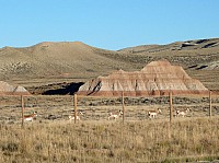 sur la route vers Pinedale (11).JPG
